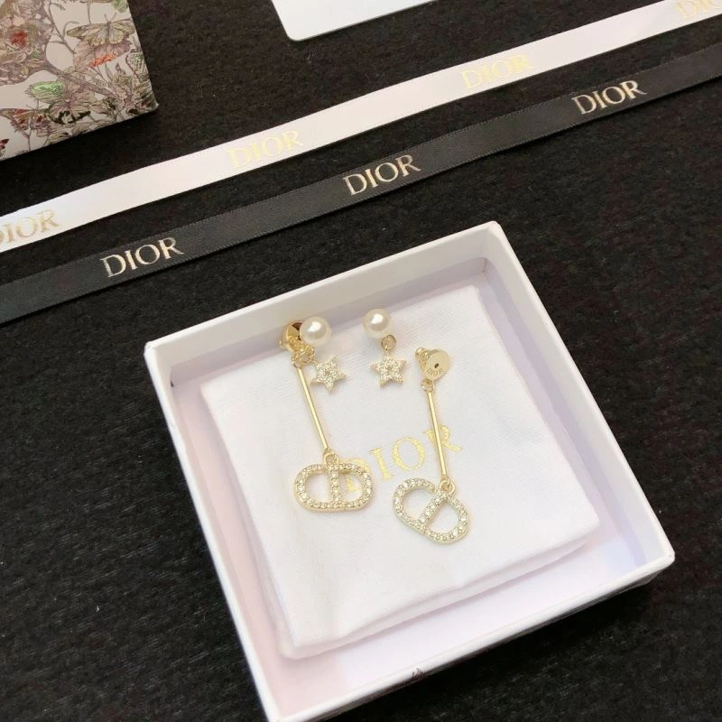 Lightweight Christian Dior Earrings 236145