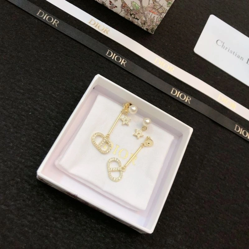 Lightweight Christian Dior Earrings 236145