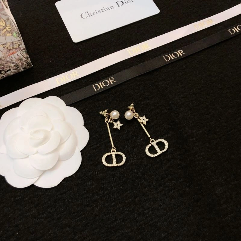 Lightweight Christian Dior Earrings 236145