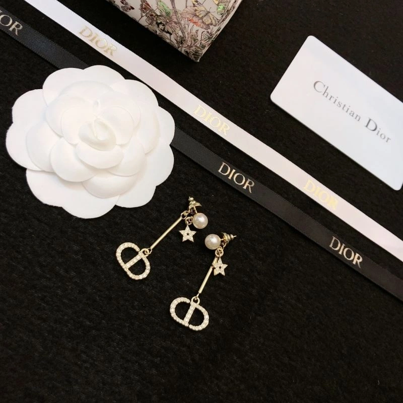 Lightweight Christian Dior Earrings 236145