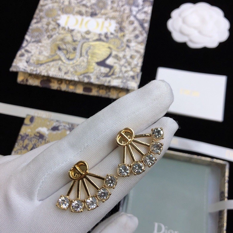 Vibrant Christian Dior Earrings 236151
