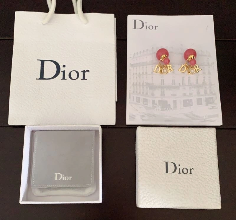 Neat Christian Dior Earrings 236135