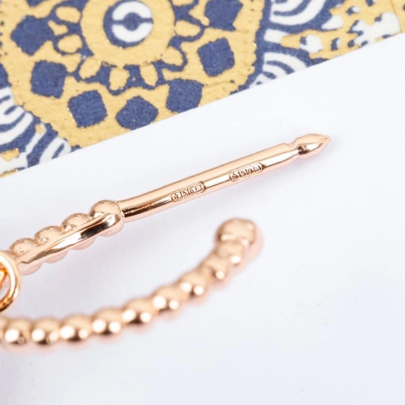 Christian Dior Earrings Fashionable 236130