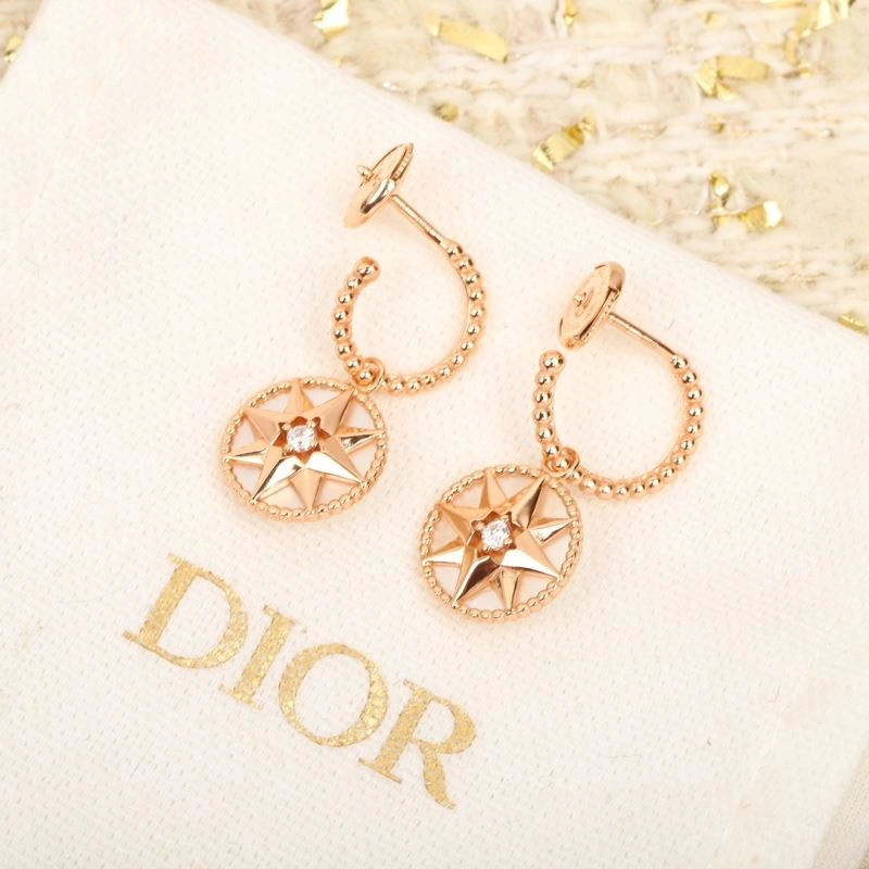 Refined Christian Dior Earrings 236125
