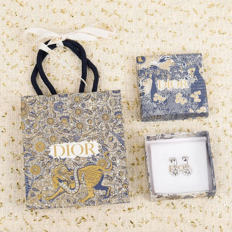 EasyCare Christian Dior Earrings 236127