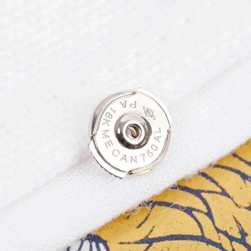 EasyCare Christian Dior Earrings 236127