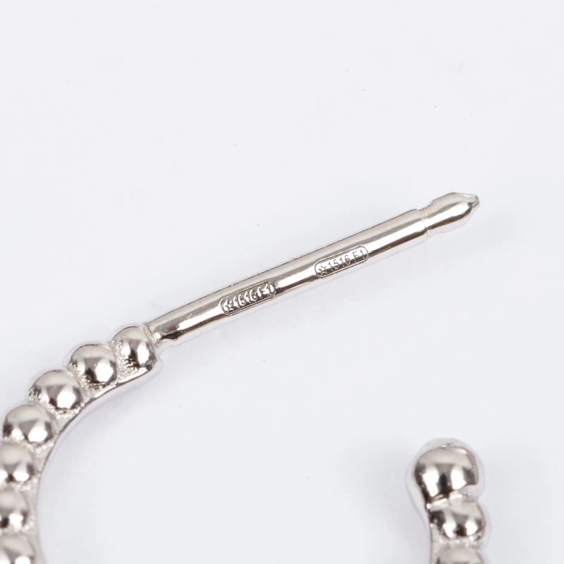 EasyCare Christian Dior Earrings 236127
