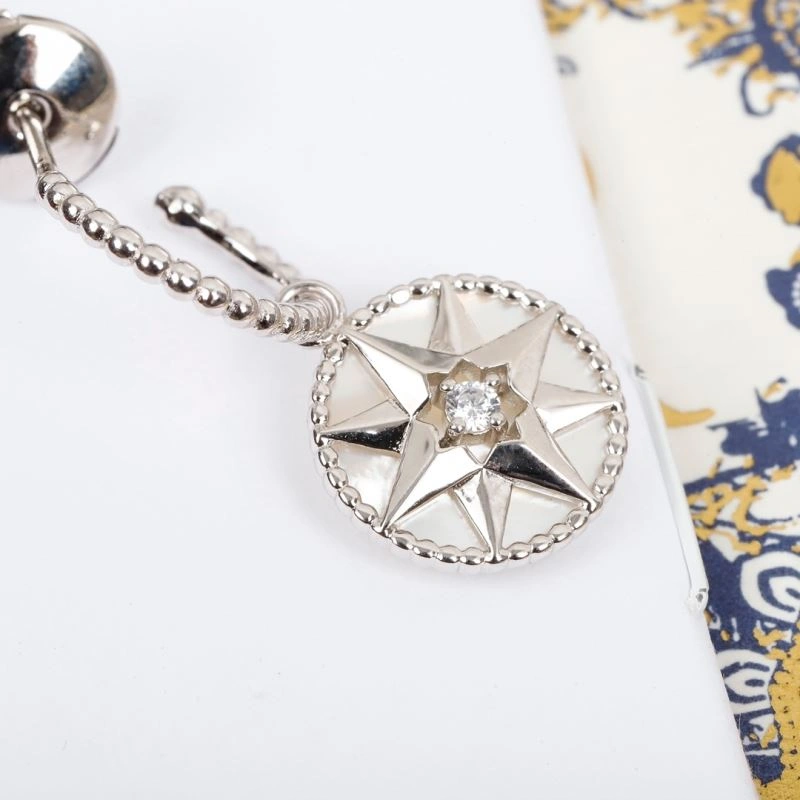 EasyCare Christian Dior Earrings 236127