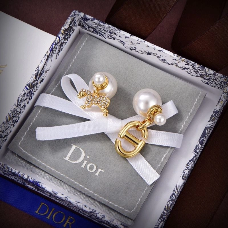 Upgraded Christian Dior Earrings 236118