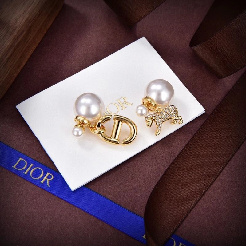 Upgraded Christian Dior Earrings 236118