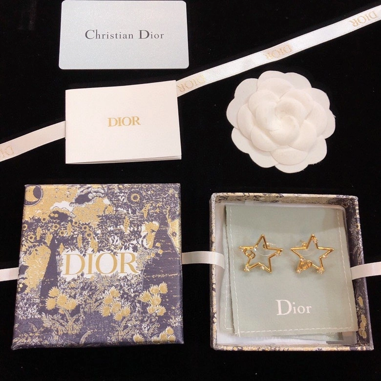 Christian Dior Earrings Thermal 236113
