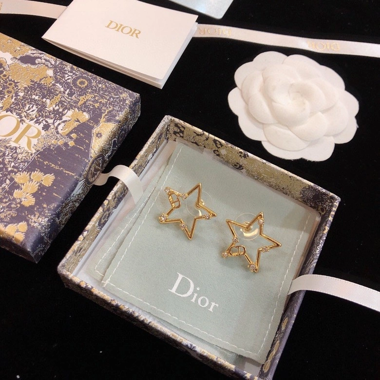 Christian Dior Earrings Thermal 236113