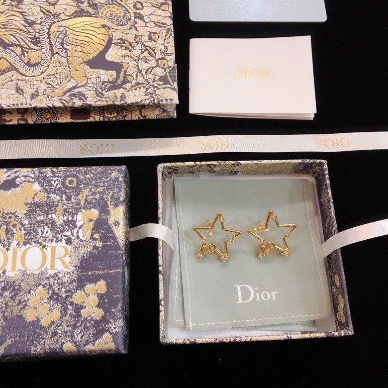 Christian Dior Earrings Thermal 236113