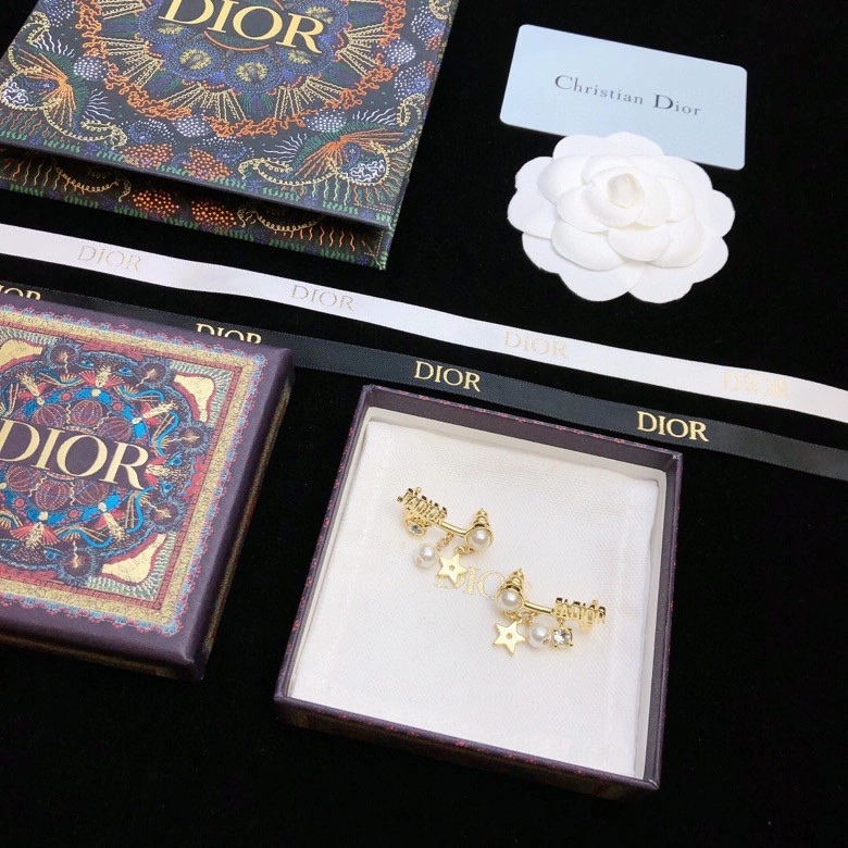 Colorful Christian Dior Earrings 236110