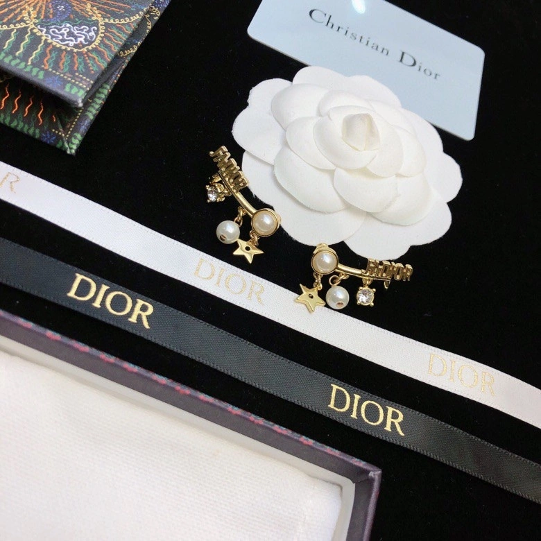 Colorful Christian Dior Earrings 236110