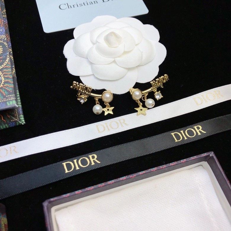 Colorful Christian Dior Earrings 236110