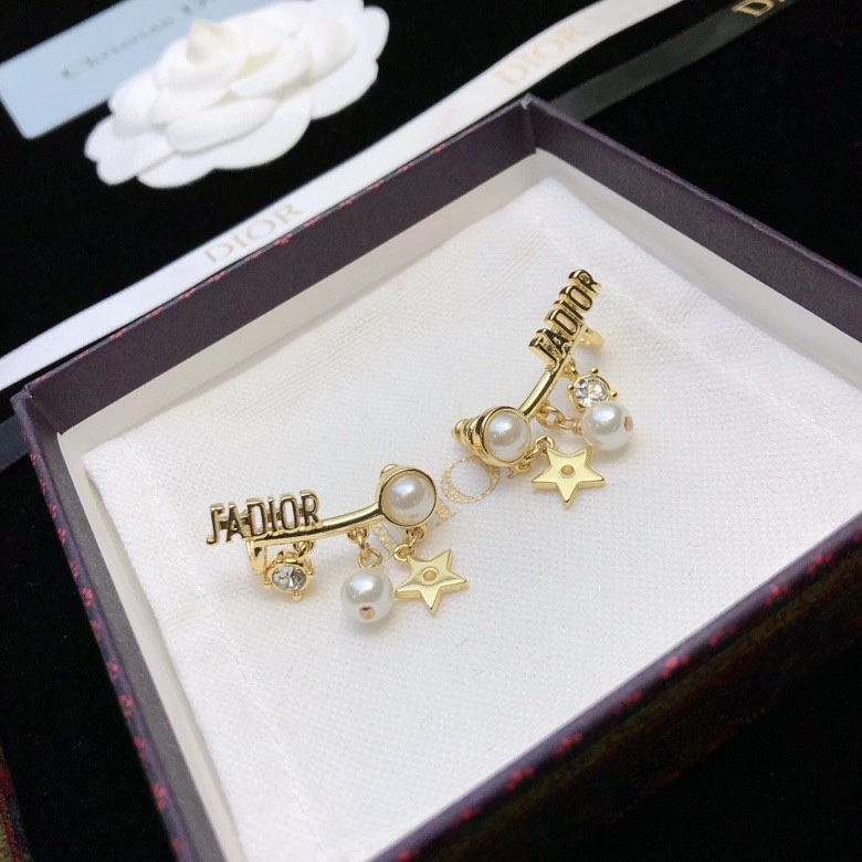 Colorful Christian Dior Earrings 236110