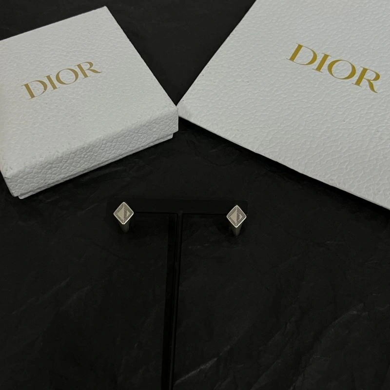 Lightweight Christian Dior Earrings 236103