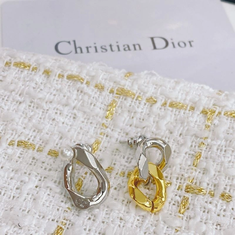 Resilient Christian Dior Earrings 235620