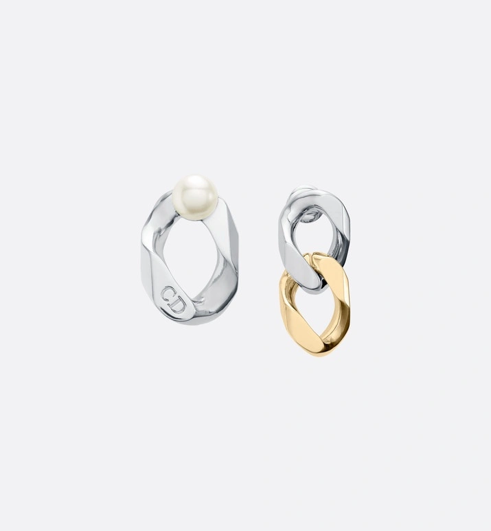 Resilient Christian Dior Earrings 235620