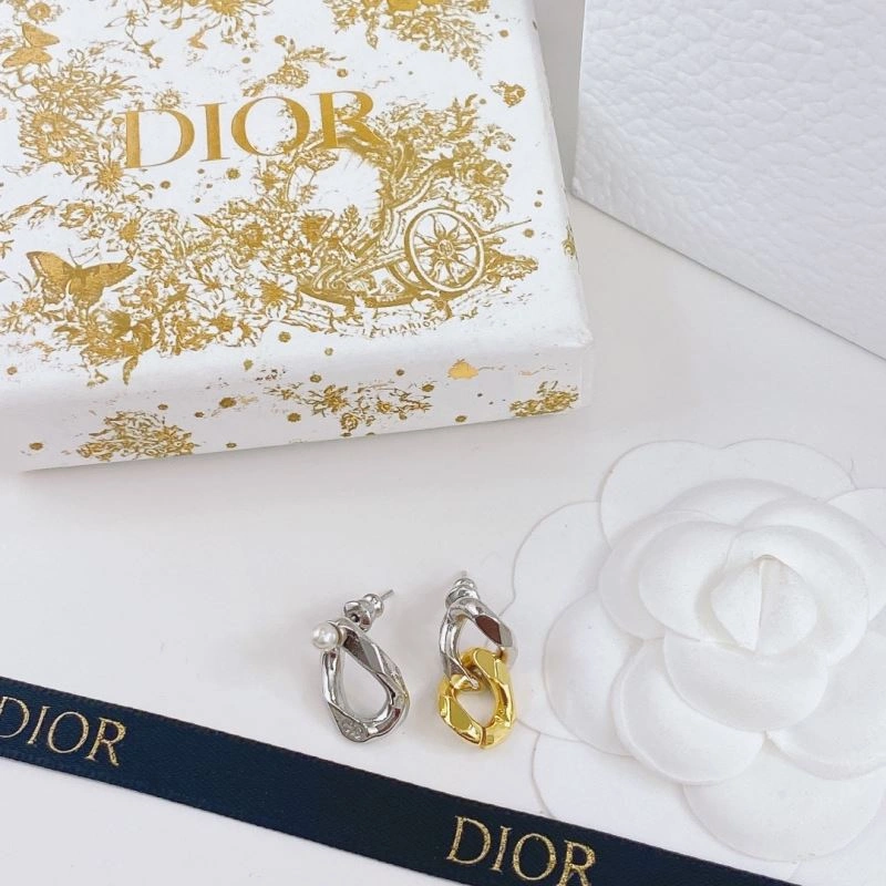 Resilient Christian Dior Earrings 235620