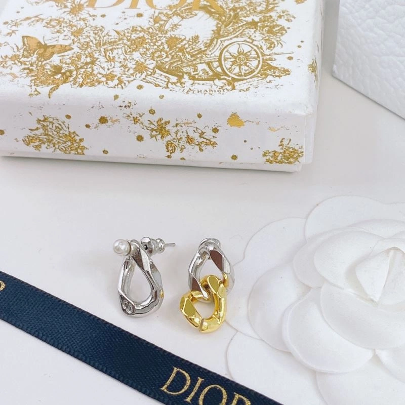 Resilient Christian Dior Earrings 235620