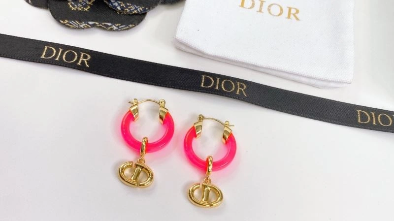 Casual Christian Dior Earrings 235596