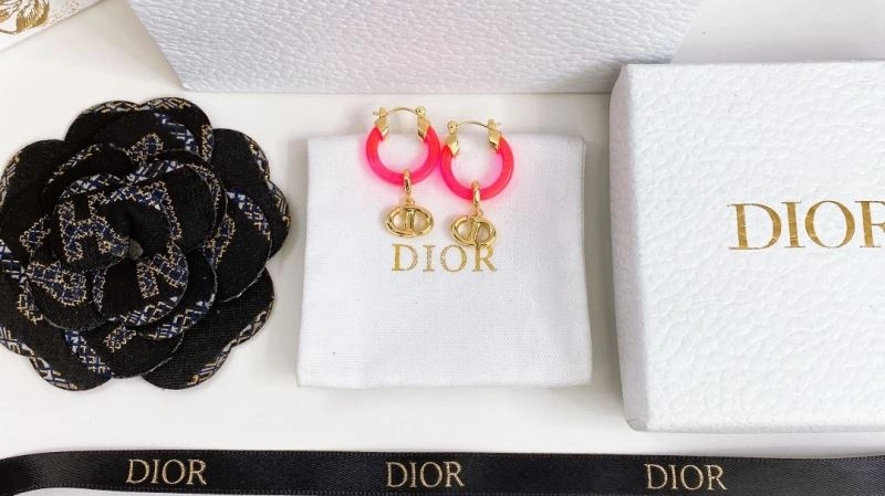 Casual Christian Dior Earrings 235596