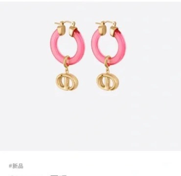 Casual Christian Dior Earrings 235596