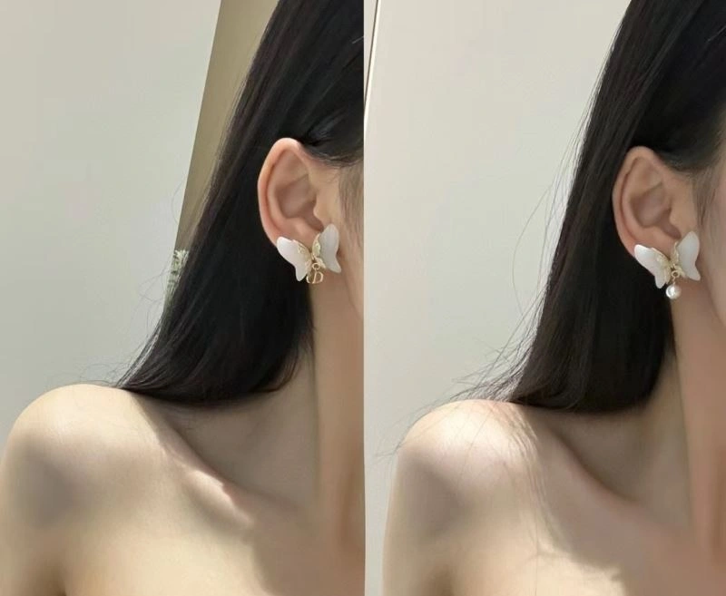 Christian Dior Earrings DailyWear 235606
