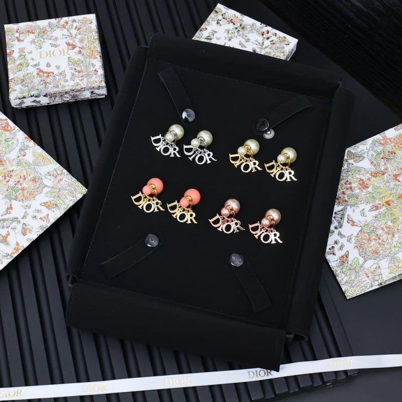ZipUp Christian Dior Earrings 235611