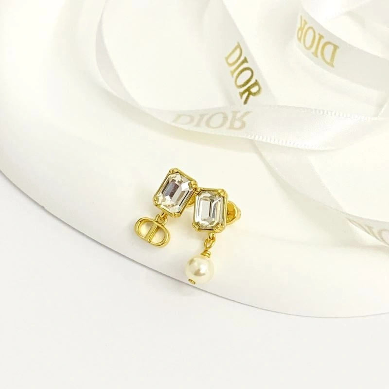Attractive Christian Dior Earrings 235598