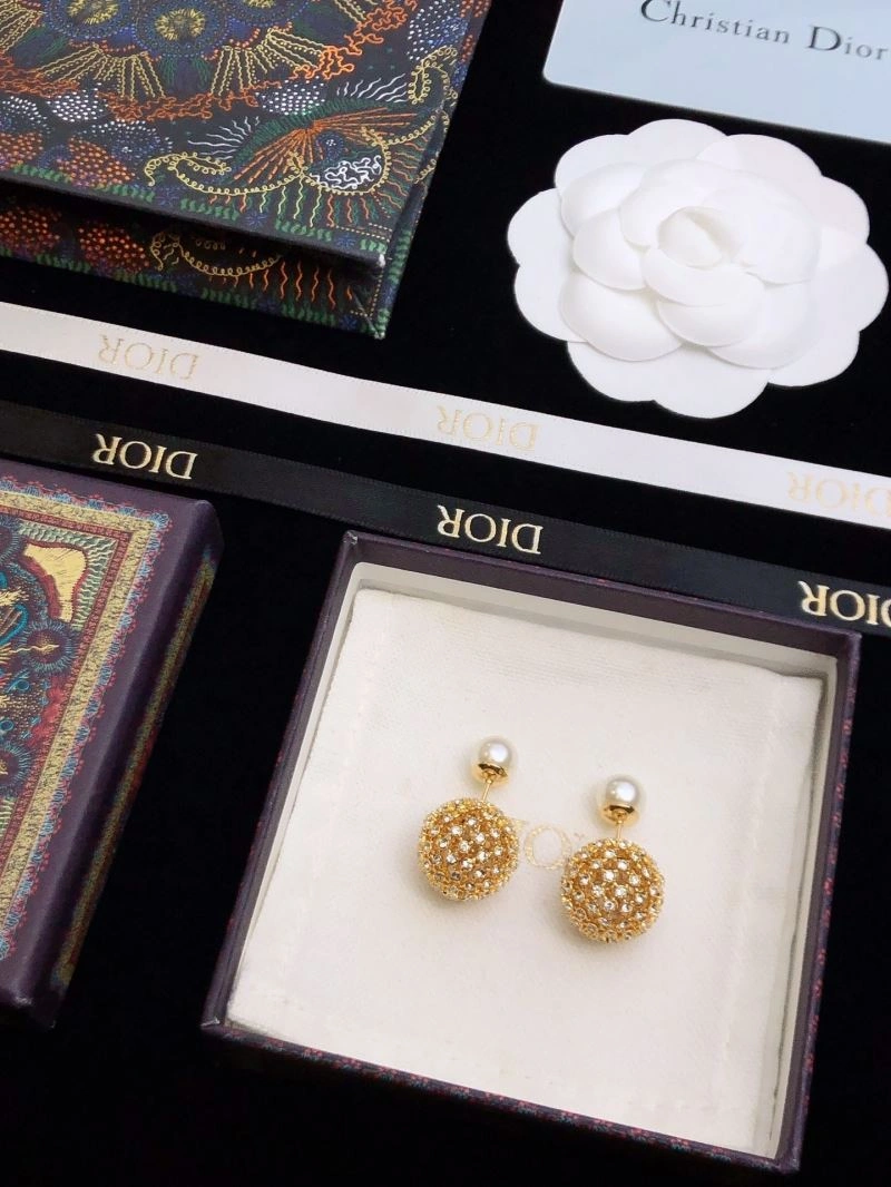 Cozy Christian Dior Earrings 235608