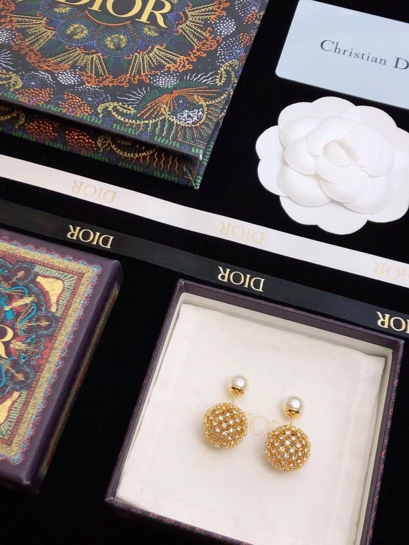 Cozy Christian Dior Earrings 235608