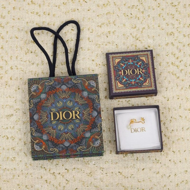 Durable Christian Dior Earrings 235573