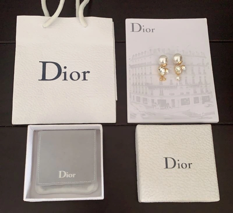 Functional Christian Dior Earrings 235601