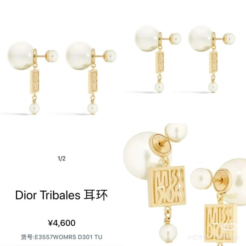 Christian Dior Earrings Sustainable 235566