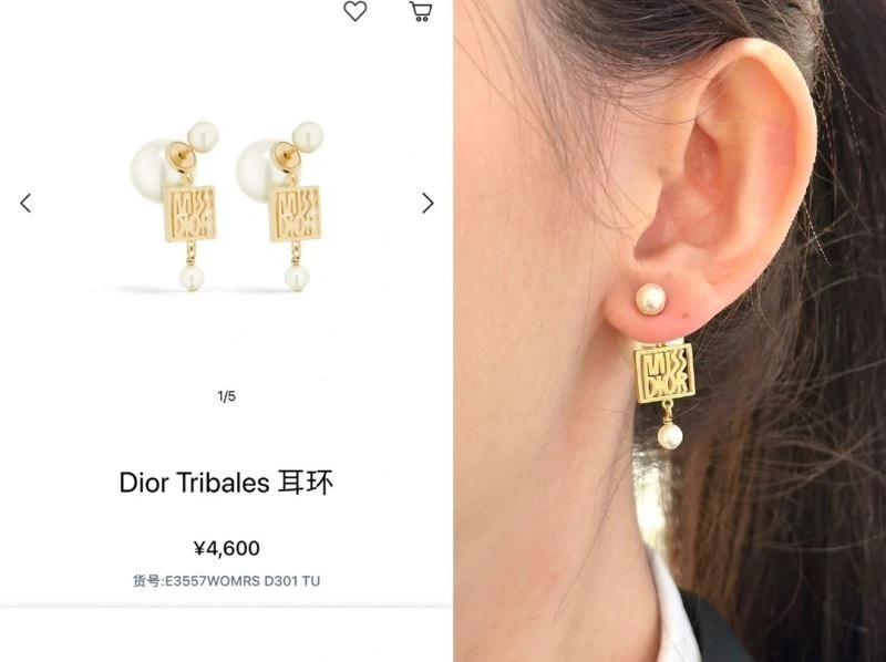 Christian Dior Earrings Sustainable 235566