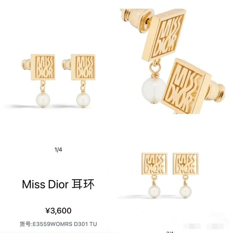 Durable Christian Dior Earrings 235565