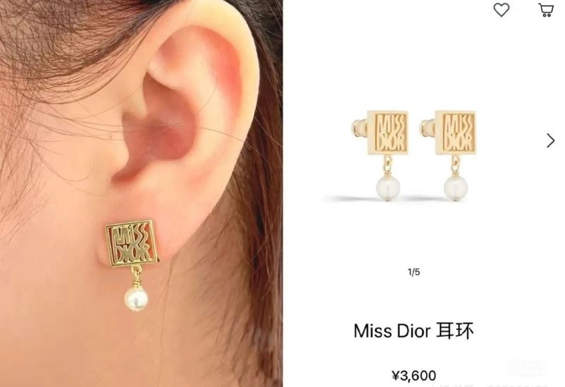 Durable Christian Dior Earrings 235565