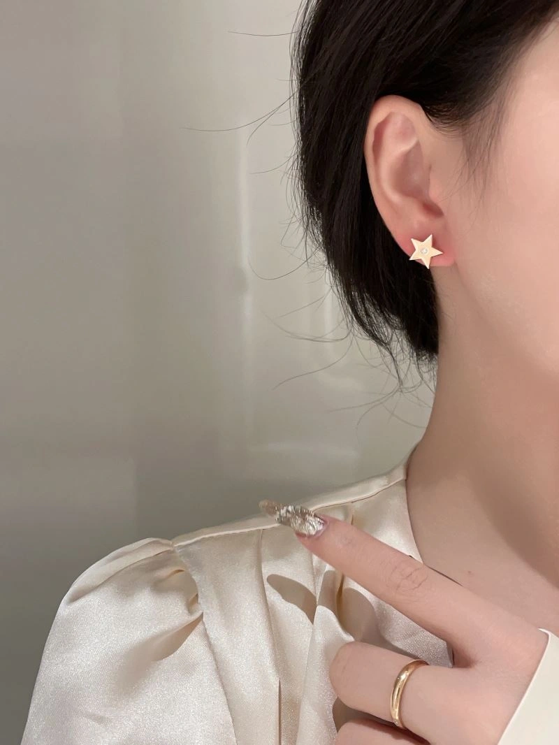 Soft Christian Dior Earrings 235554