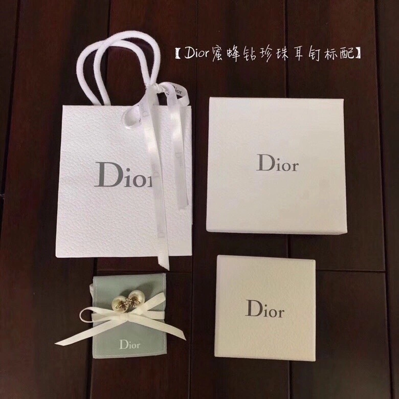 Lightweight Christian Dior Earrings 235549
