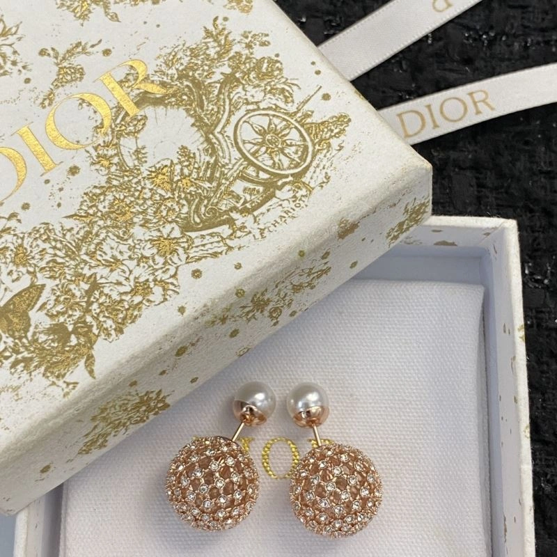 Christian Dior Earrings Thermal 235546