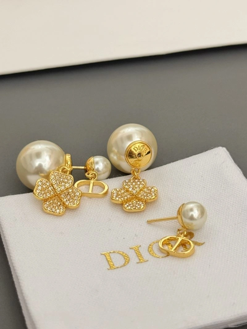 WaterResistant Christian Dior Earrings 235528