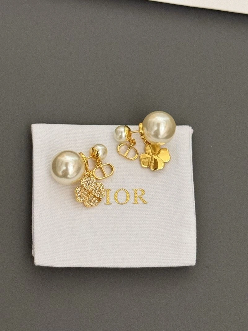 WaterResistant Christian Dior Earrings 235528