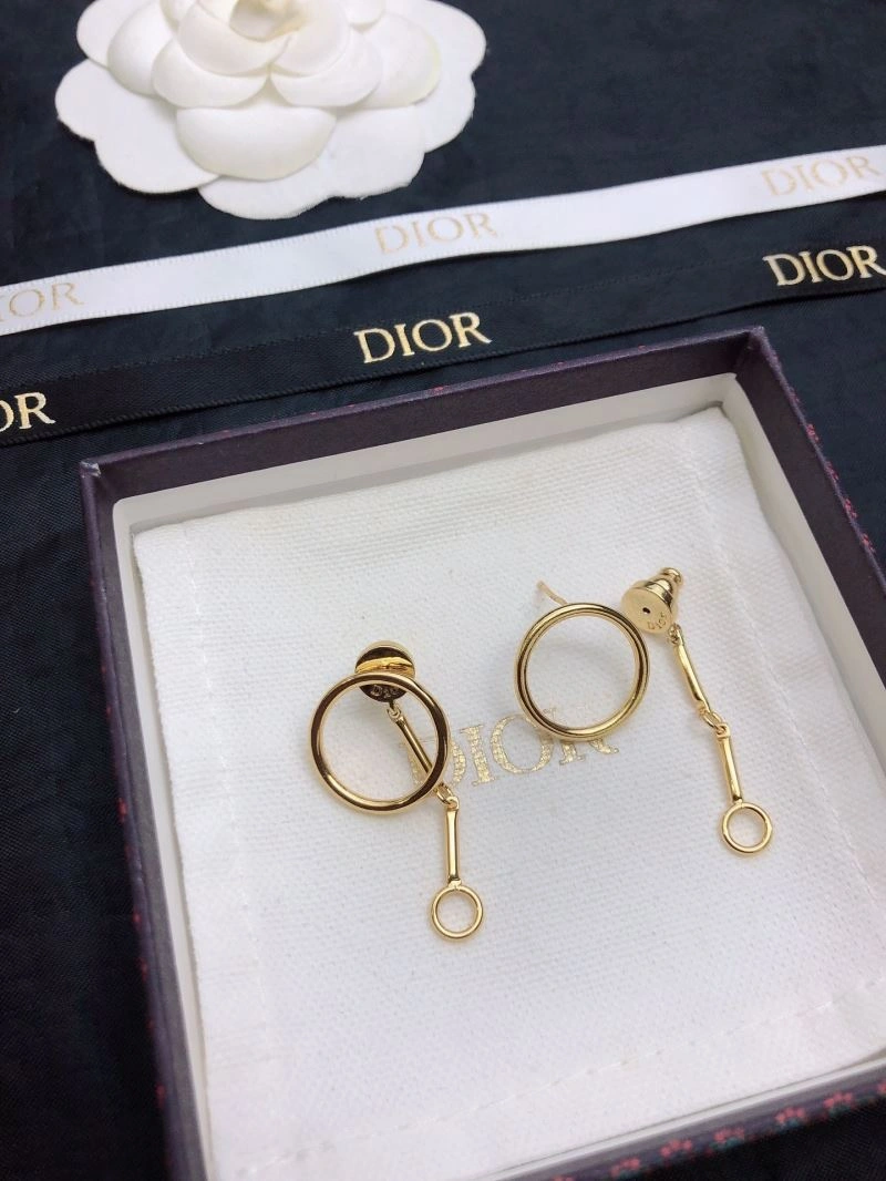 Neat Christian Dior Earrings 235541