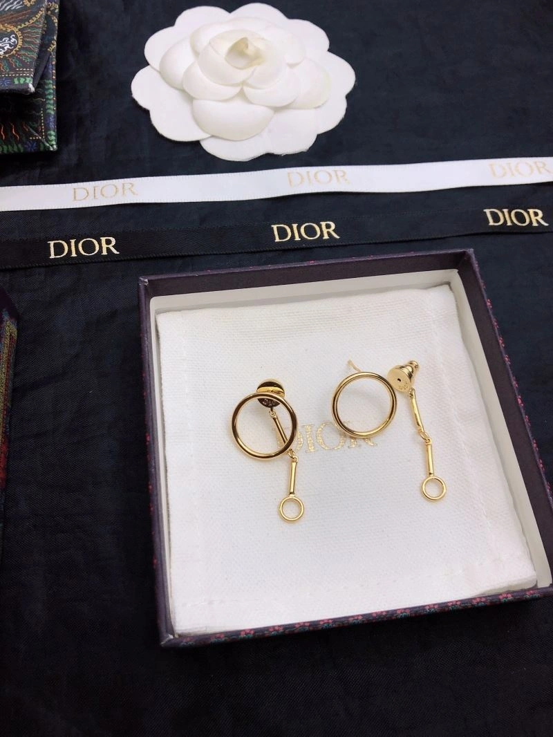 Neat Christian Dior Earrings 235541