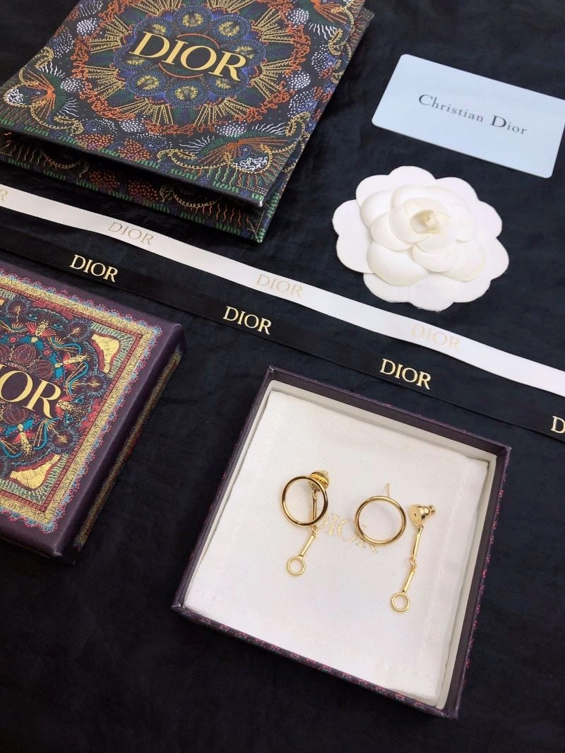 Neat Christian Dior Earrings 235541