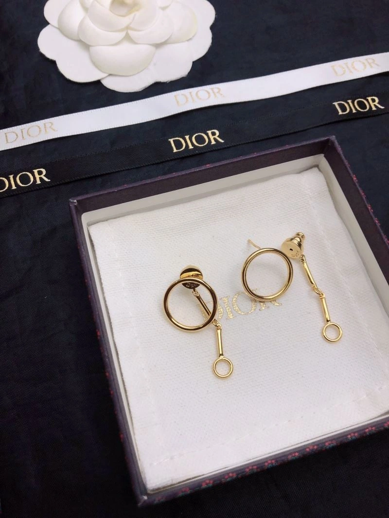 Neat Christian Dior Earrings 235541