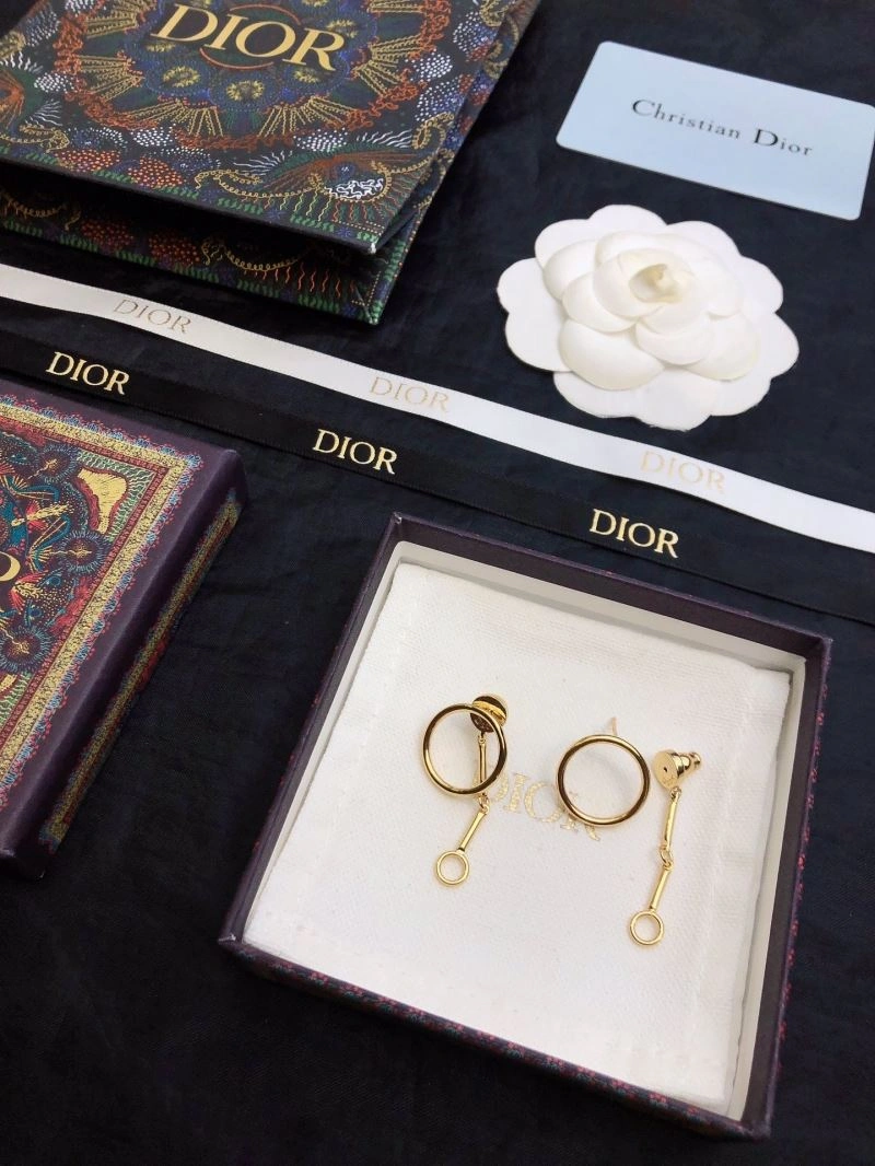 Neat Christian Dior Earrings 235541